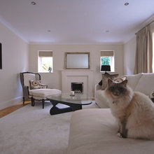 Houzz Animals