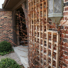 Trellis