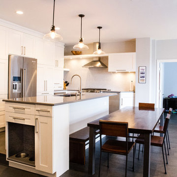 Bucktown Condo Renovation