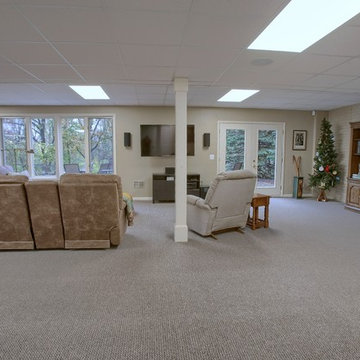 Basement Remodel - Rochester Hills, MI