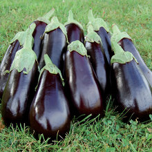 veggie blessing ideas