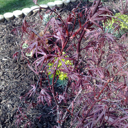 Planting - Garden Products