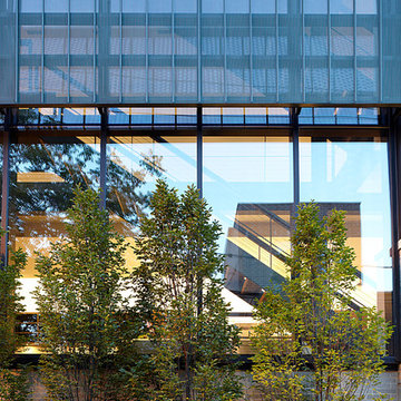 Bucktown Residence
