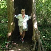 Amy Johnson's photo