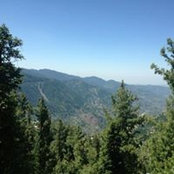 Foto von Talat Khan