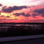 Alan Nesensohn's photo