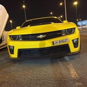 Mohamed Atef's photo