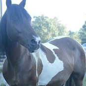 Susan Darnell's photo