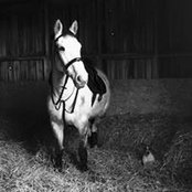 Carol Ritchie's photo