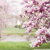 Tracey Christner's photo
