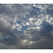 Karen Zhou's photo