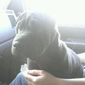 Foto de Mellissia Wilson Cooper