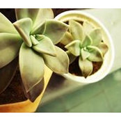 Dương Lê's photo