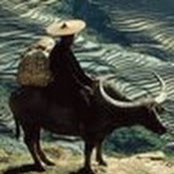 Foto von Rui Pu
