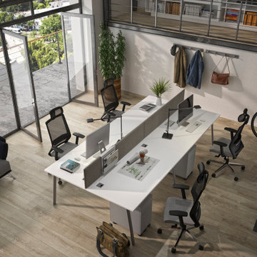 Office Collections