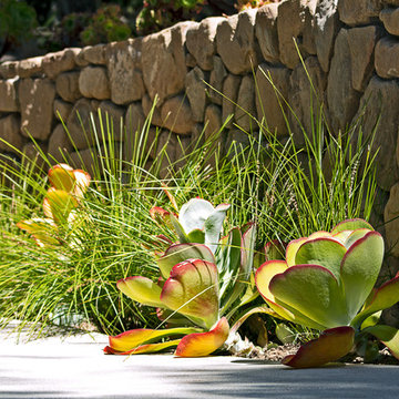 New 1-Year-Old Garden