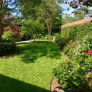 Patio Home