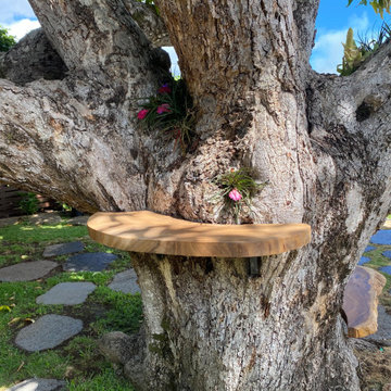 100 Year Old Tree Bench