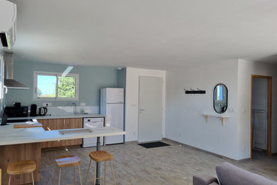 Idée de décoration pour un salon design de taille moyenne avec un mur bleu, un sol en carrelage de céramique et un sol marron.