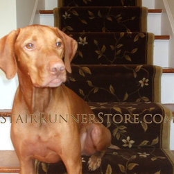 Pets on Stairs - Pet Supplies