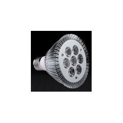 120V 14 Watt LED PAR30 - Led Bulbs