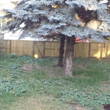 Fencing