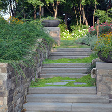 Side yard