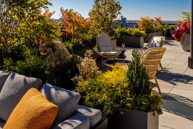 Island style deck photo in Chicago