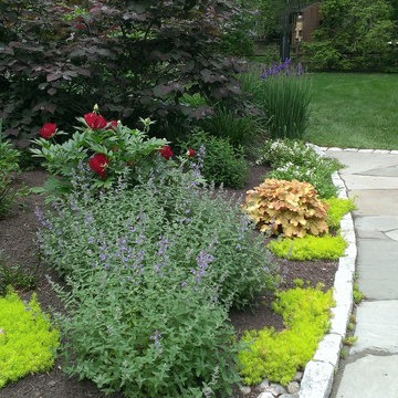 Flagstone Walkway & Privacy Planting