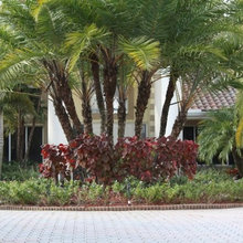 front landscaping