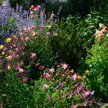 Design - Build Mountain Home Landscape in Summit County, CO