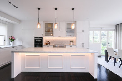 Modern kitchen in Sydney.