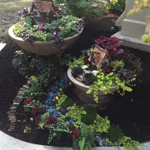 Fairy Garden