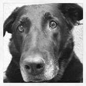 Paco Bartrina's photo