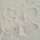 shelly_phillips