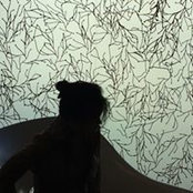Angela Jeng's photo