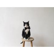 Sally To's photo