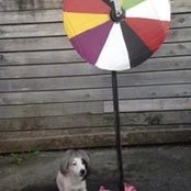Foto von Awa Lyx