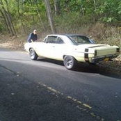 Robert Accatino's photo