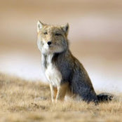 Patty Kelley's photo