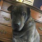Brenda Dieringer's photo