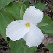 Diane Hill's photo