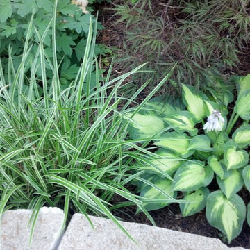 Small Urban Garden
