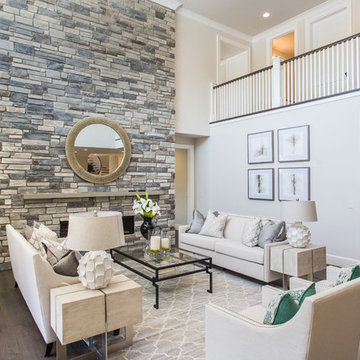 Contemporary Living Room with a Touch of Style