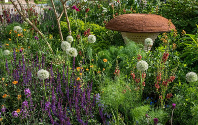 Il Giardino Del Futuro dall’RHS Chelsea Flower Show 2022