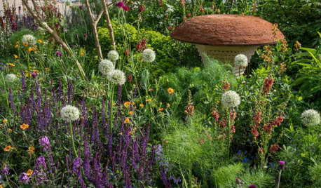 Il Giardino Del Futuro dall’RHS Chelsea Flower Show 2022