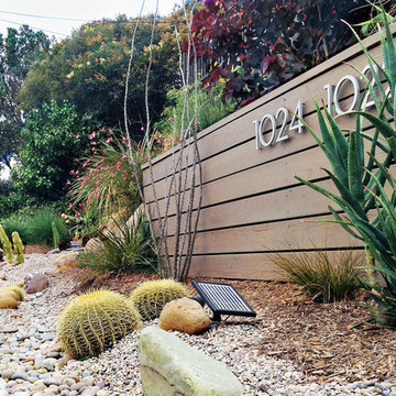 Conscious Stream Scape- Silverlake