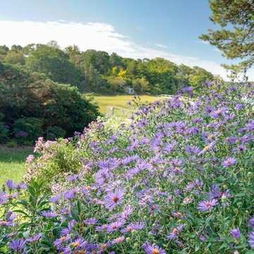 Oceanfront Landscape Design, Orleans Massachusetts