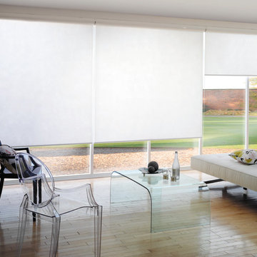Simple Roller Shades
