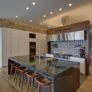 Integrated Lake House